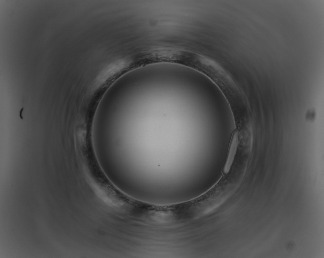 X0000096700552200802121205