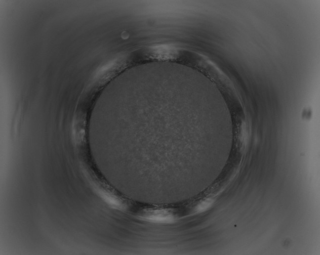 X0000096700553200802121205
