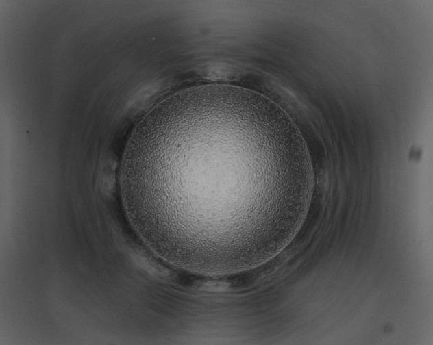 X0000096700554200802121205