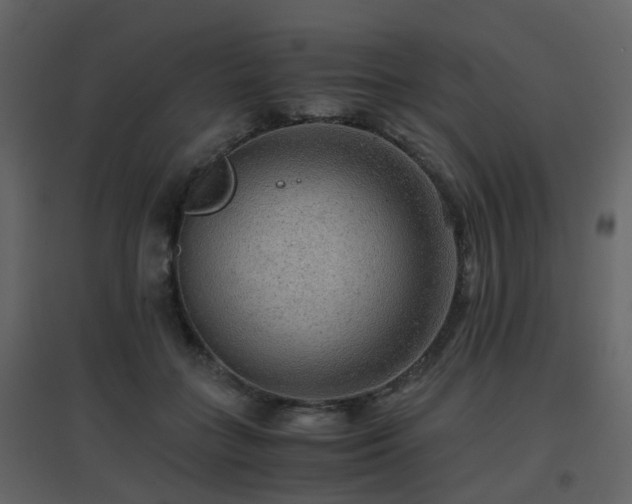 X0000096700555200802121205