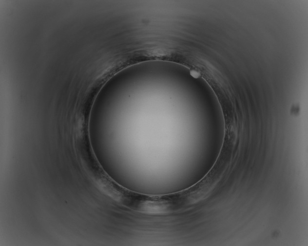 X0000096700556200802121205