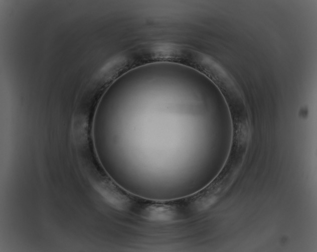 X0000096700557200802121205