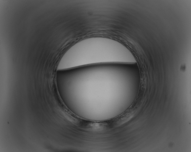 X0000096700558200802121205
