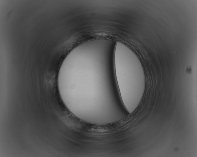 X0000096700559200802121205