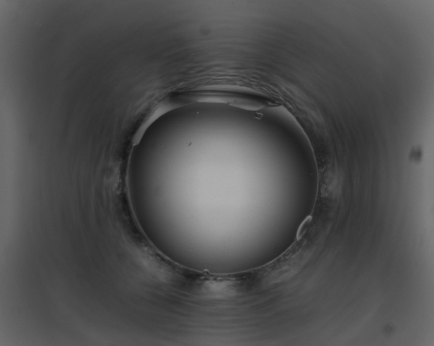 X0000096700560200802121205
