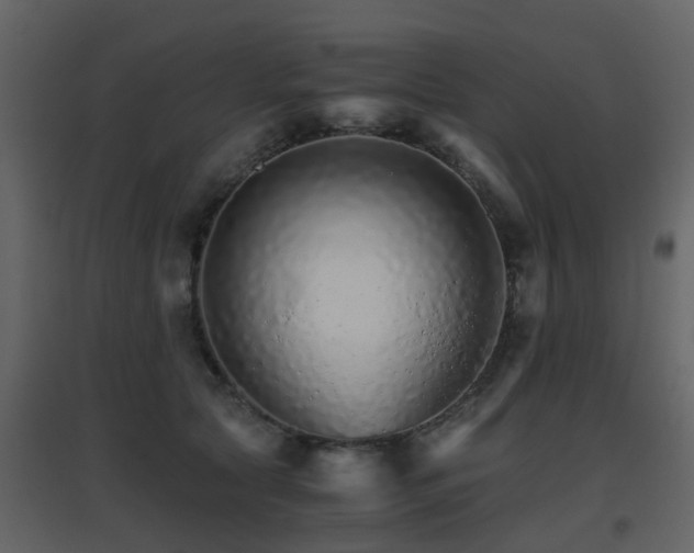 X0000096700561200802121205
