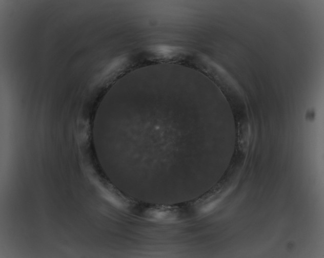 X0000096700563200802121205