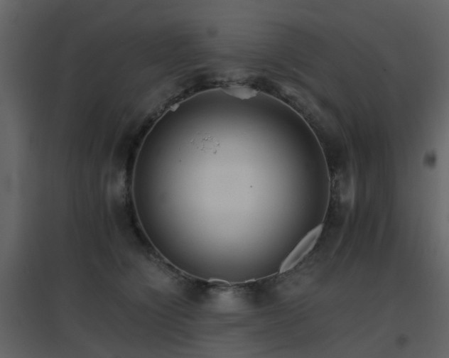 X0000096700564200802121205