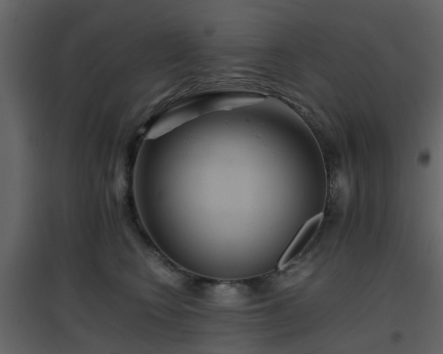 X0000096700566200802121205