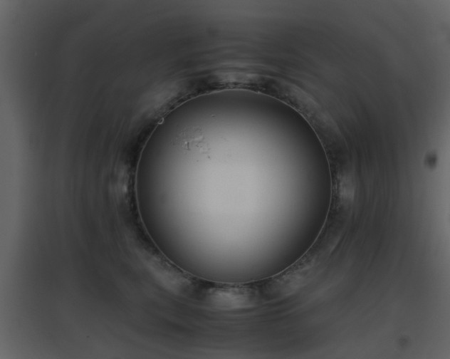 X0000096700567200802121205