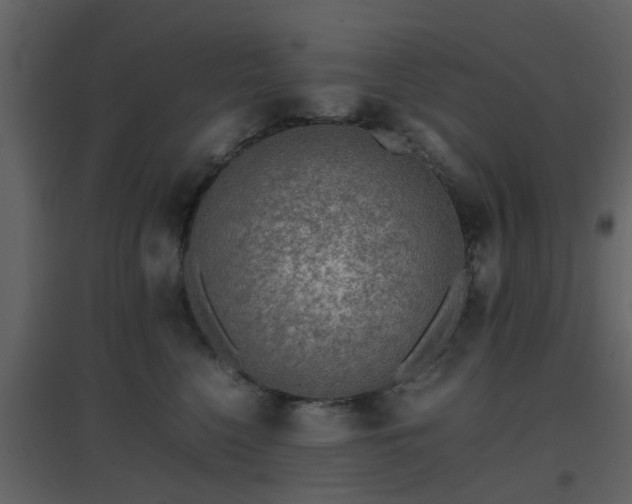 X0000096700568200802121205