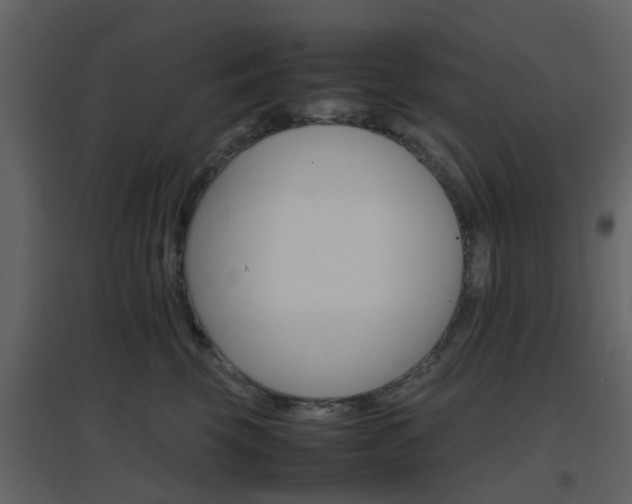 X0000096700569200802121205