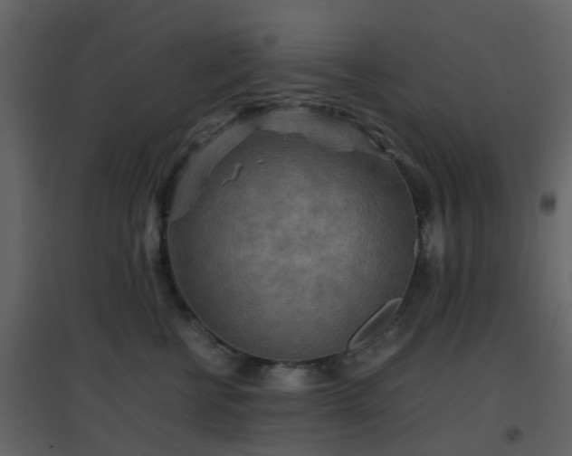 X0000096700570200802121205