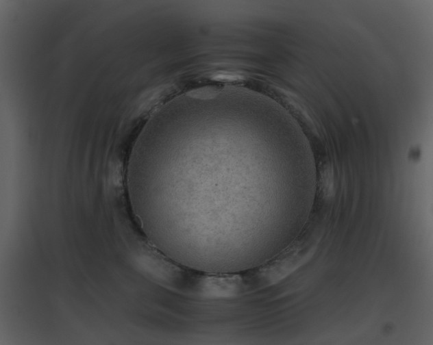 X0000096700571200802121205