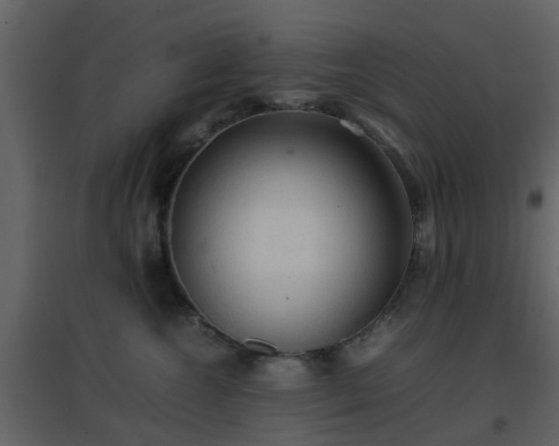 X0000096700572200802121205
