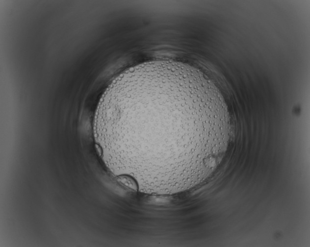 X0000096700573200802121205
