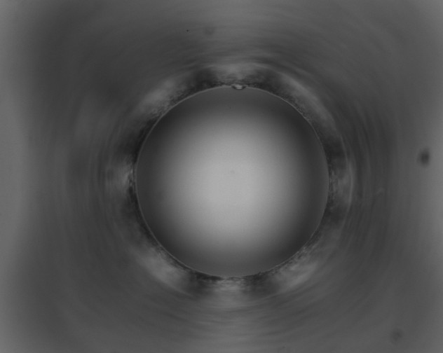 X0000096700574200802121205