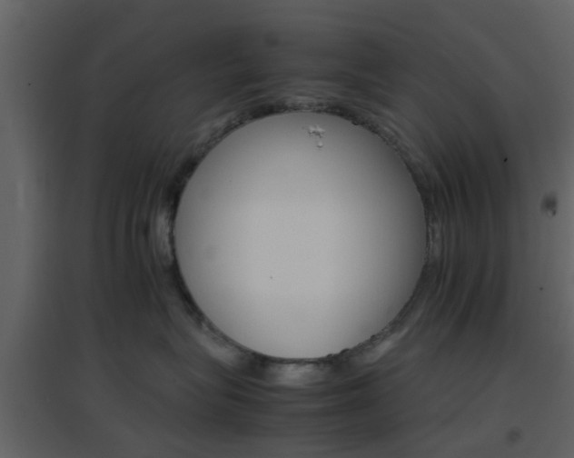 X0000096700575200802121205