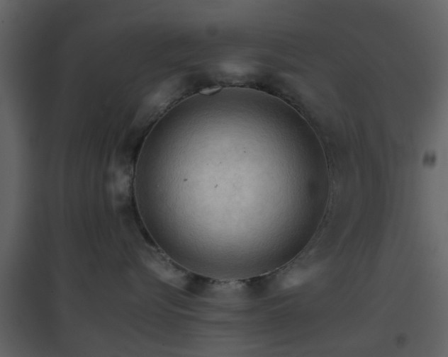 X0000096700576200802121205