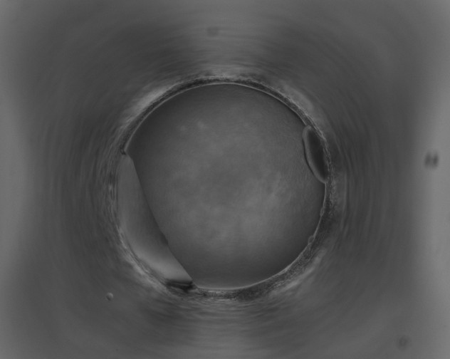 X0000096700577200802121205
