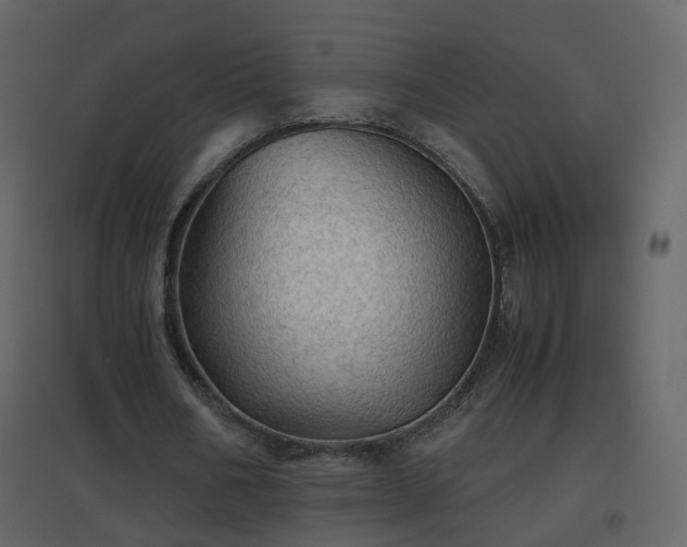 X0000096700578200802121205
