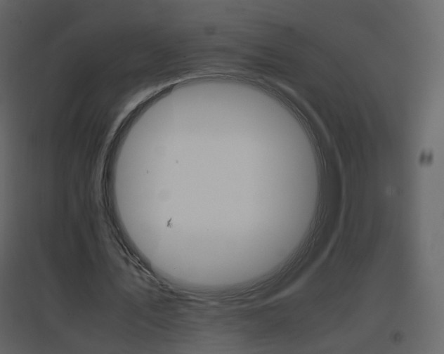 X0000096700579200802121205