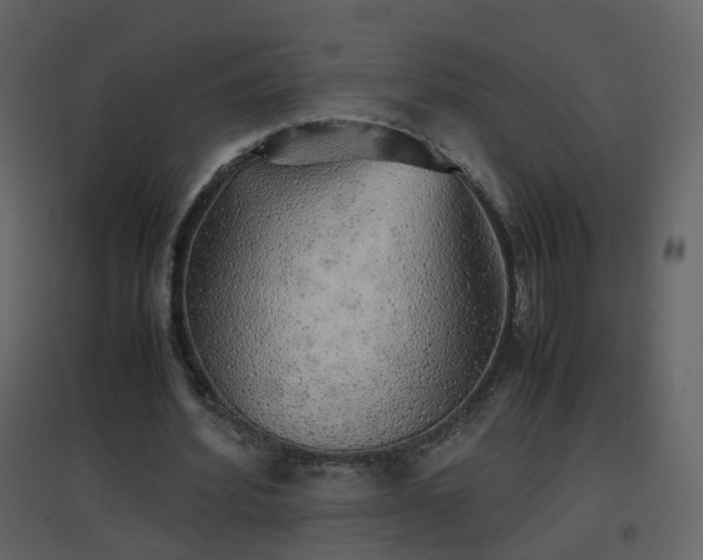 X0000096700580200802121205
