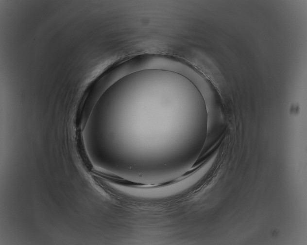 X0000096700581200802121205