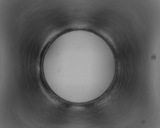 X0000096700582200802121205