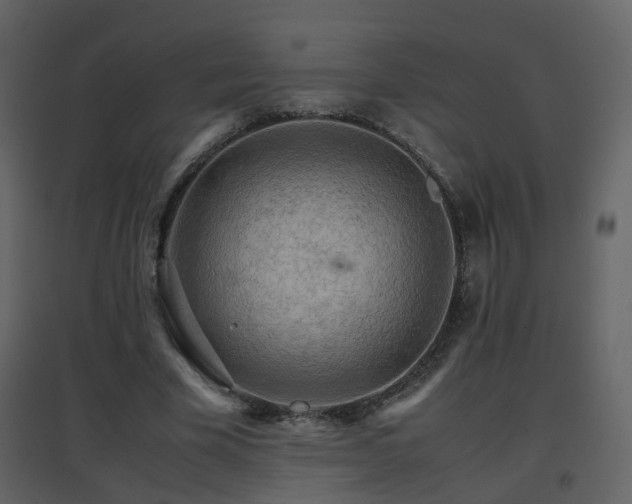 X0000096700585200802121205