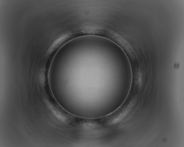 X0000096700586200802121205