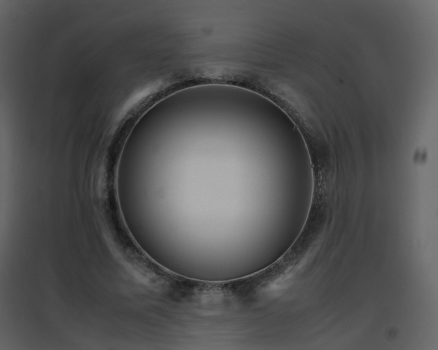 X0000096700587200802121205