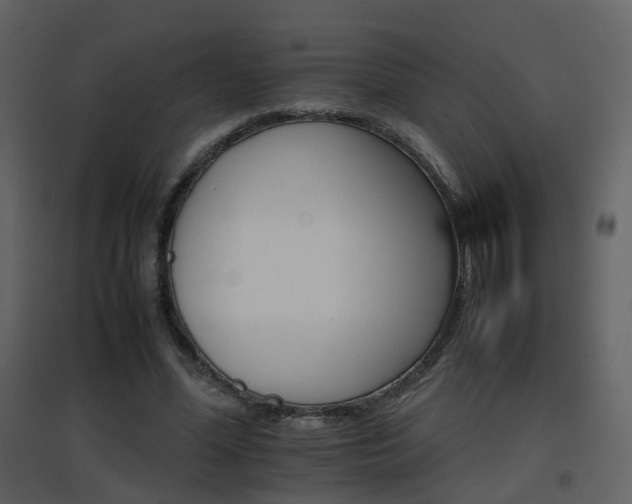 X0000096700588200802121205
