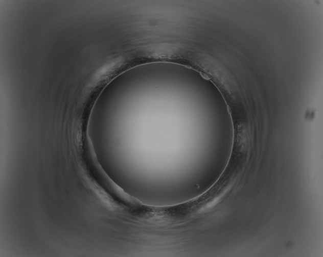 X0000096700589200802121204