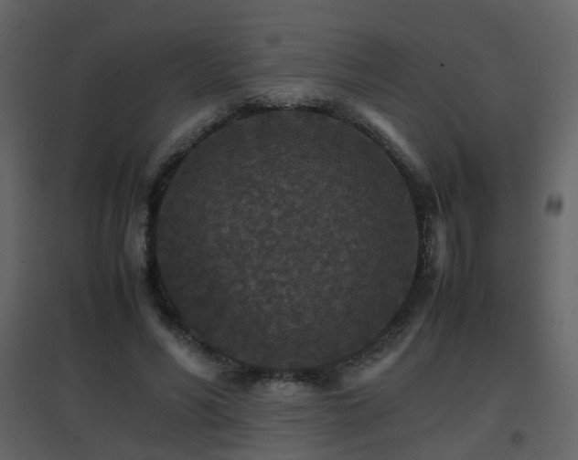 X0000096700590200802121204