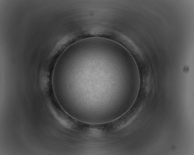 X0000096700592200802121204