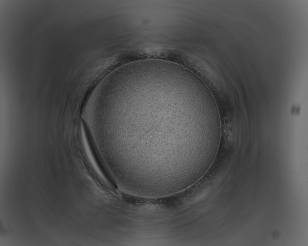 X0000096700593200802121204