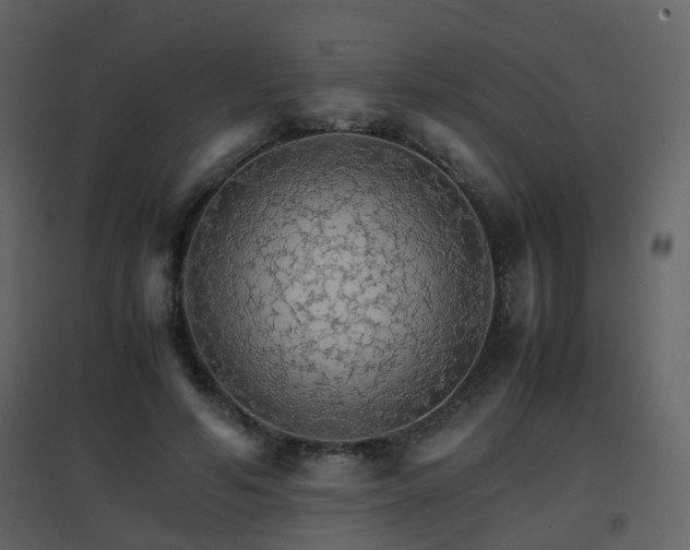 X0000096700594200802121204