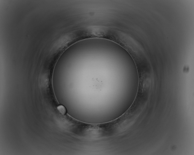 X0000096700595200802121204