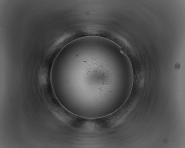 X0000096700596200802121204