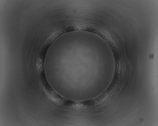 X0000096700598200802121204