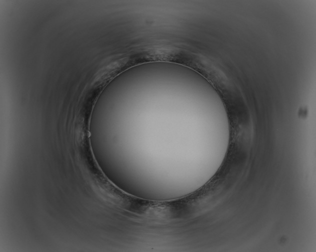 X0000096700599200802121204