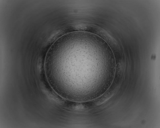 X0000096700600200802121204