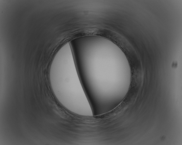 X0000096700601200802121204