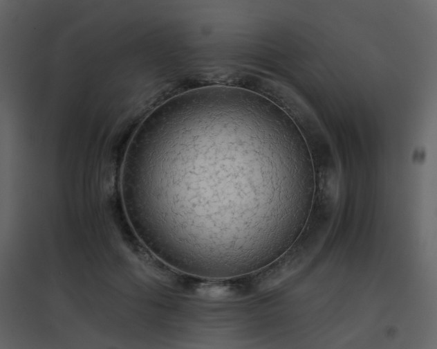 X0000096700602200802121204