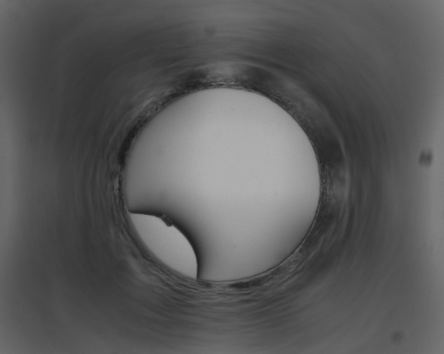 X0000096700603200802121204
