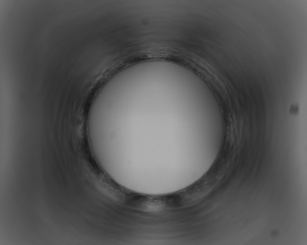 X0000096700604200802121204