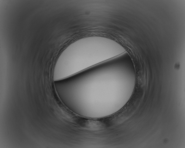 X0000096700605200802121204