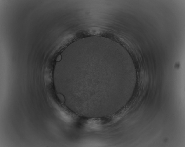 X0000096700606200802121204