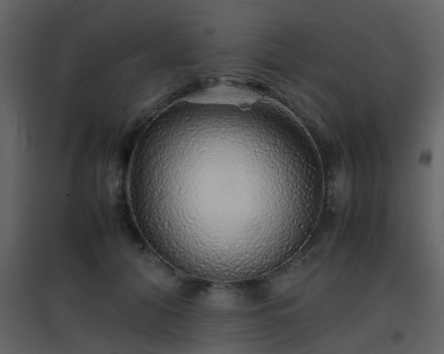 X0000096700608200802121204